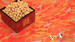 壁紙2月①