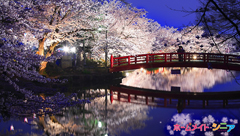 壁紙4月④