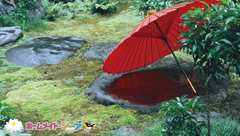 壁紙6月②