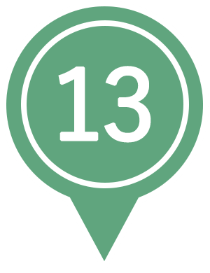 13