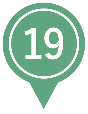 19