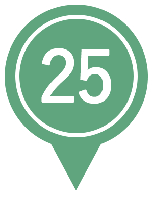 25