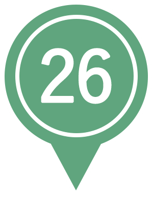 26