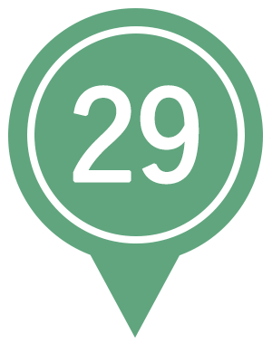 29